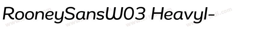 RooneySansW03 HeavyI字体转换